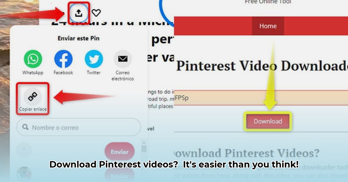 descargar-pinterest-video